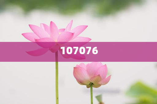 过年看百度独家非遗打铁花——璀璨的文化盛宴，璀璨非遗打铁花，百度独家呈现的文化盛宴过年必看，百度独家揭秘，非遗打铁花，璀璨文化盛宴过大年，百度独家呈现，璀璨非遗打铁花，文化盛宴迎新春，百度独家呈现，非遗打铁花盛宴，过大年文化璀璨