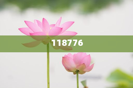 百万网红千惠自曝患焦虑症，探寻焦虑背后的故事，百万网红千惠自述患焦虑症，探寻背后的故事今晚必出三肖2025_2025新澳门精准免费提供·精确判断