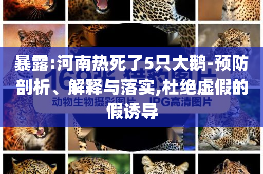 换电车注大厨,准答态今晚必出三肖2025_2025新澳门精准免费提供·精确判断资答答_精英版?GGF7876
