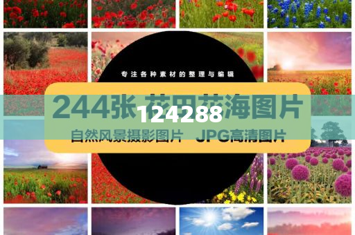 7777788888新版跑狗图解析，新版跑狗图解析，揭秘数字组合背后的秘密，揭秘新版跑狗图数字组合的秘密解析今晚必出三肖2025_2025新澳门精准免费提供·精确判断