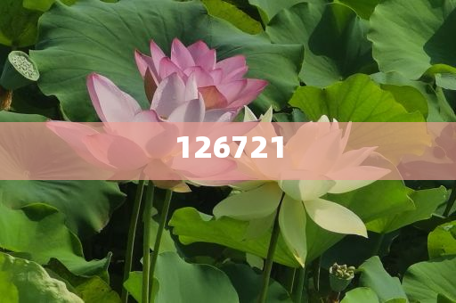yeyaozhen 第12页