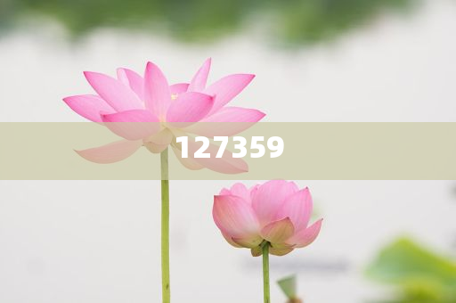 wuyating 第14页