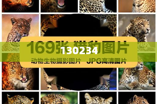 2025年新澳门最精准免费大全，澳门预测与指南，2025年最今晚必出三肖2025_2025新澳门精准免费提供·精确判断精准免费大全，澳门预测指南，2025年最精准免费大全揭秘