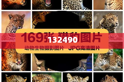 中国舞蹈家协会主席冯双白被查，冯双白主席被查，中国舞蹈界震动，冯双白主席被查引发中国舞蹈界震动今晚必出三肖2025_2025新澳门精准免费提供·精确判断