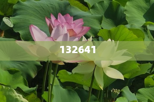 深圳北地铁站发生人员踩踏？假，深圳北地铁站踩踏事件真相揭秘，假新闻！，深圳北地铁站踩踏事件真相揭秘，假新闻辟谣！今晚必出三肖2025_2025新澳门精准免费提供·精确判断