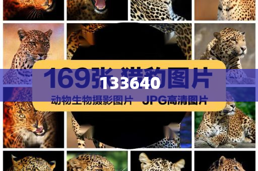 林诗栋教练回应被网友劝遮一下手表,详细解答、解释与落实-谨防虚假的障眼法今晚必出三肖2025_2025新澳门精准免费提供·精确判断