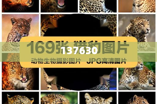 中国反制或让美军无人机计划延期详细解答、解释与落实与警惕虚假宣传-详细解答、解释与落实,防范广告的误导今晚必出三肖2025_2025新澳门精准免费提供·精确判断