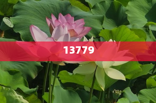 澳门天天正版资料,不实_精英版GT45今晚必出三肖2025_2025新澳门精准免费提供·精确判断