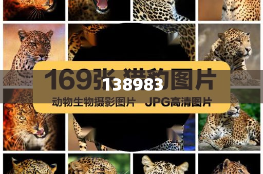 曝黄仁勋会见DeepSeek创始人梁文锋-全面释义、解释与落实与警惕虚假宣传-全面释义、解释与落实,抵制夸张的噱头今晚必出三肖2025_2025新澳门精准免费提供·精确判断