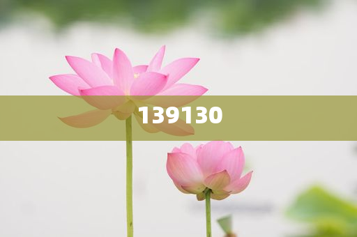 苏炳添官宣生三胎,远离误导的漩涡-详细解答、解释与落实与警惕虚假宣传-详细解答、解释与落实