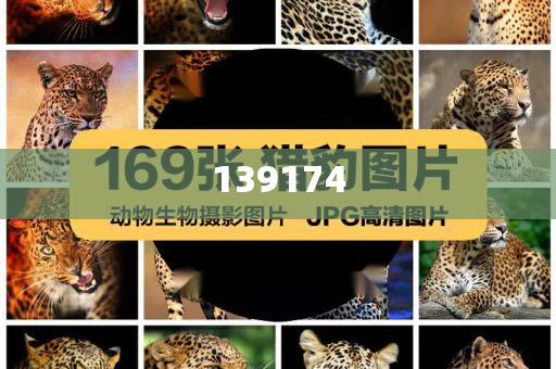 路边的艺术作品有多治愈和抵制不实承诺危害,实用释义、解释与落实与警惕虚假宣传-实用释义、解释与落实