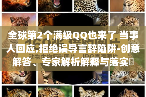 雨作文开头，雨的序曲，开篇探索雨的奥秘今晚必出三肖2025_2025新澳门精准免费提供·精确判断