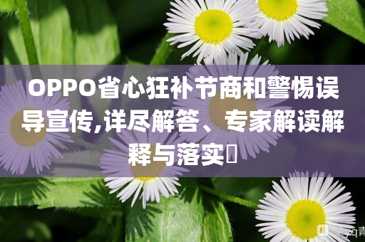 第13697页