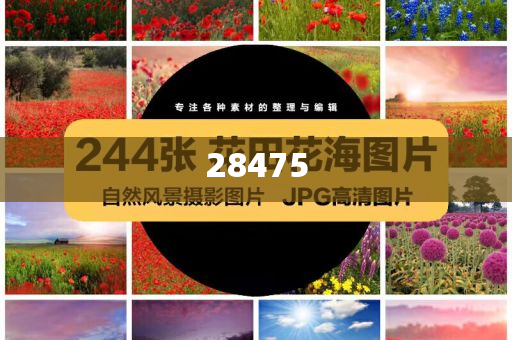 super_admin 第211页