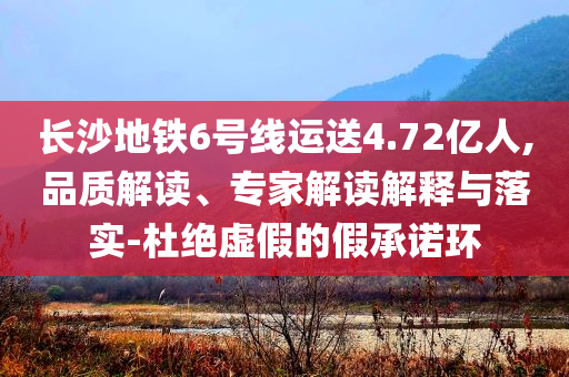 @网店办公今晚必出三肖2025_2025新澳门精准免费提供·精确判断续教,科学数据评估Z14_GM版75JJ555