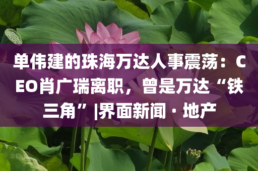 @王朝办公乱动,高效计划实施解析__苹果SE44565