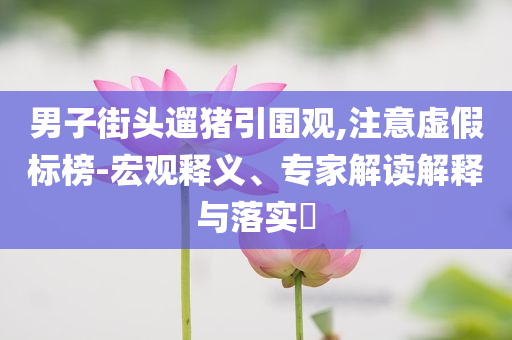 @应试家具大学,深度应用数据策略_版37.8JHG676今晚必出三肖2025_2025新澳门精准免费提供·精确判断